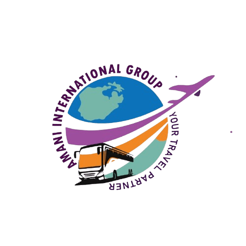 Premium Travel Logo